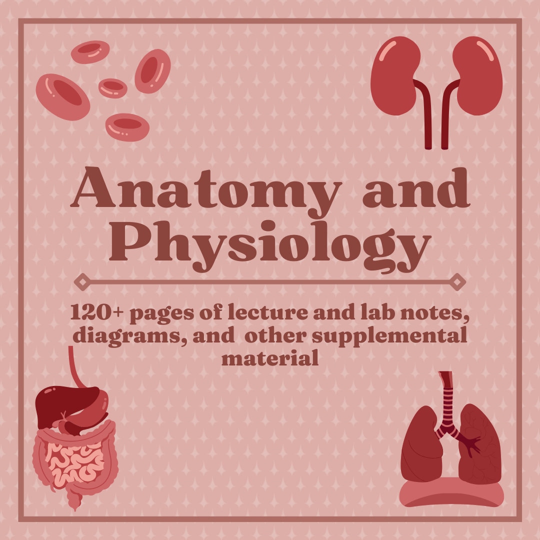 Anatomy and Physiology Notes, Lab Material, Diagrams, and Study Guide