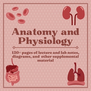 Anatomy and Physiology Notes, Lab Material, Diagrams, and Study Guide for Nursing, Medical, and Dental Students - Digital Bundle (123 Pages)