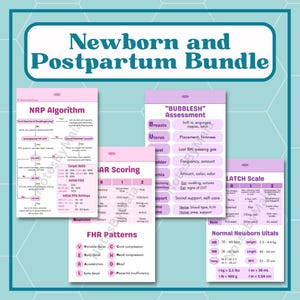 Paquete de tarjetas de identificación neonatal para enfermeras y estudiantes de enfermería: posparto, parto y nacimiento, UCIN - Copia digital (imprimible)