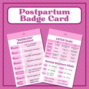 Cartão de crachá pós-parto mãe-bebê para enfermeiras e estudantes (rosa) - cópia para impressão (digital) - BOLHA, TRAVA, sinais vitais