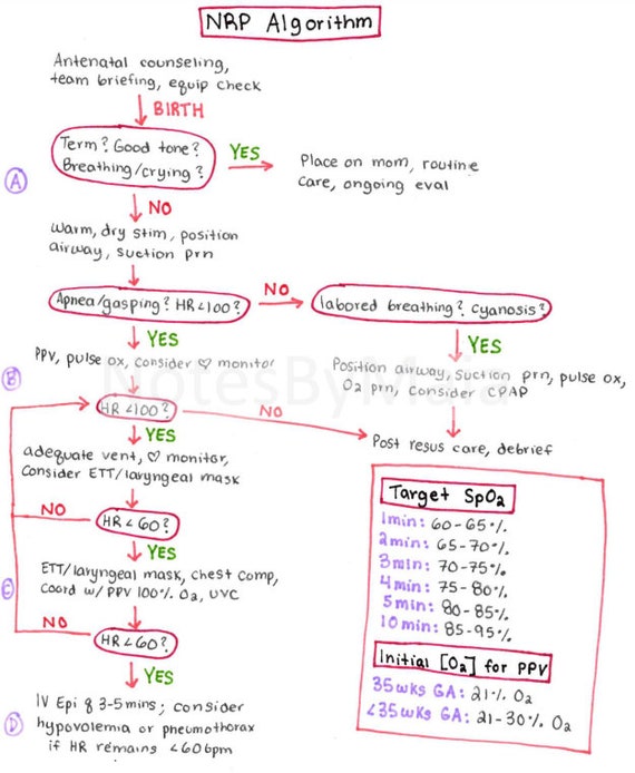 Neonatal resuscitation program wall chart 8th edition aed 50 off