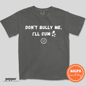 a t - shirt that says don't bully me, i'll