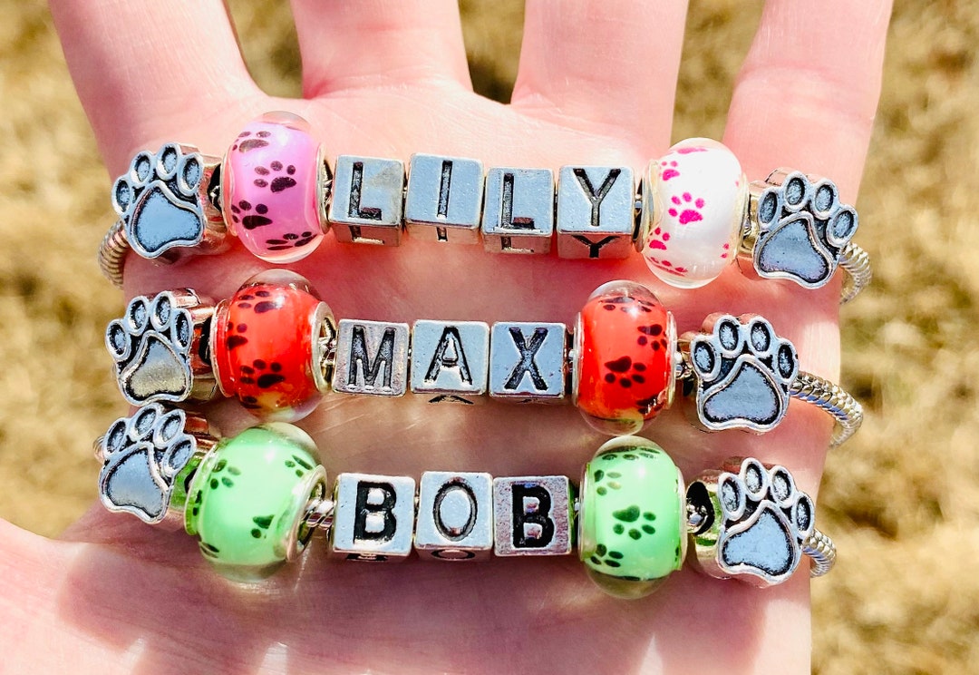 Custom PET Charm Bracelet Pet Name Pet Memorial Etsy