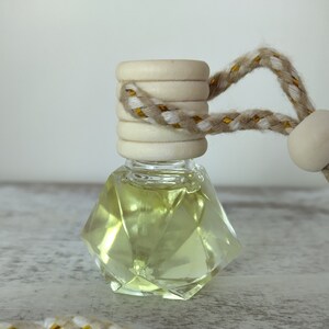 Car Diffusers - Deodorizer