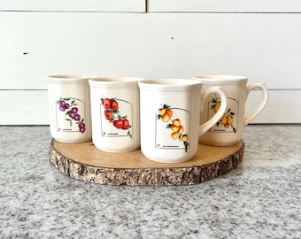 Vintage Elgin Fruit Mugs Set, 1989 Botanical Ceramic Drinkware
