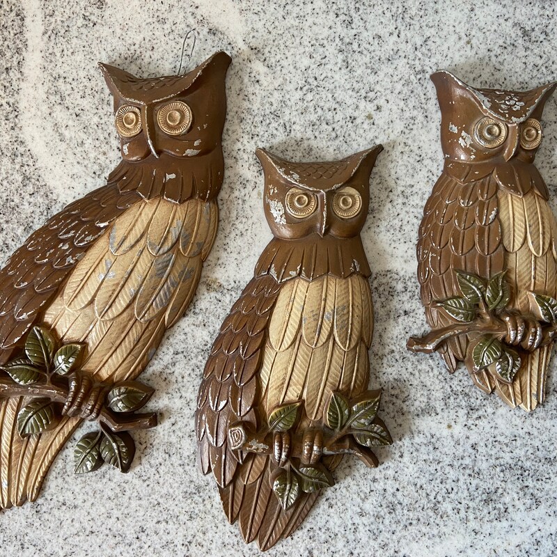 Wall Decor Owl Head with Monocle Antique Brass Finish (Copy)