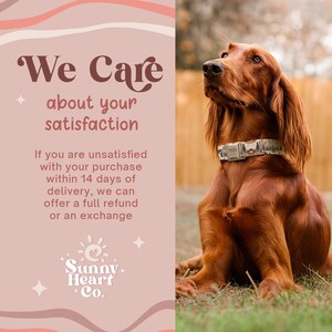 Mountain Dog Collar, Adventure Dog Collar For Hiking, Scenic Wilderness Pet Collar, Outdoor Dog Gear, Durable Collar For Active Dogs(Z-3) image 8