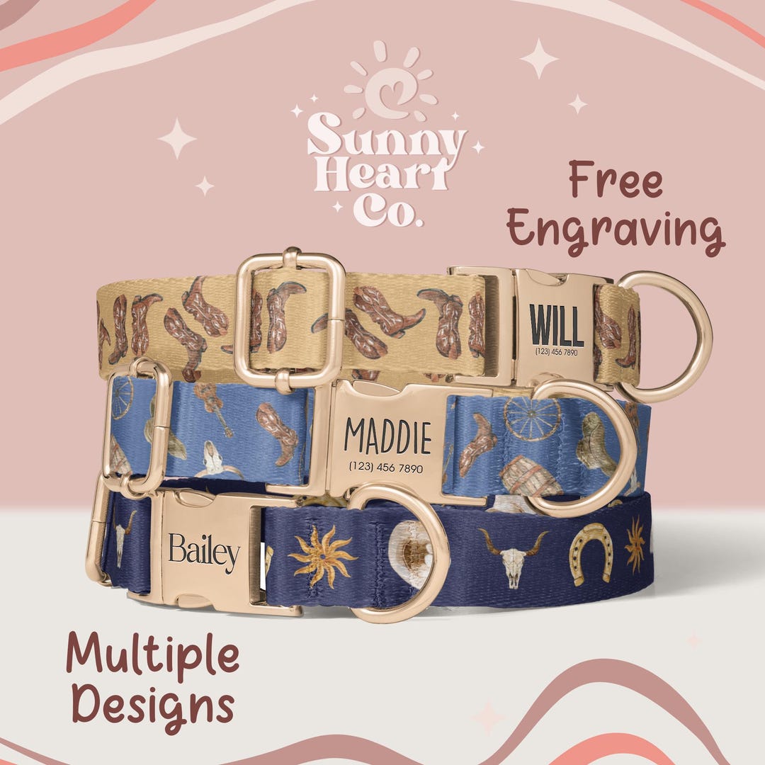 Personalized Dog Collar, Custom Pet Collar With Name and Number ...