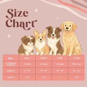 The image is a size chart for dogs, showing the average weight and height for different dog breeds.