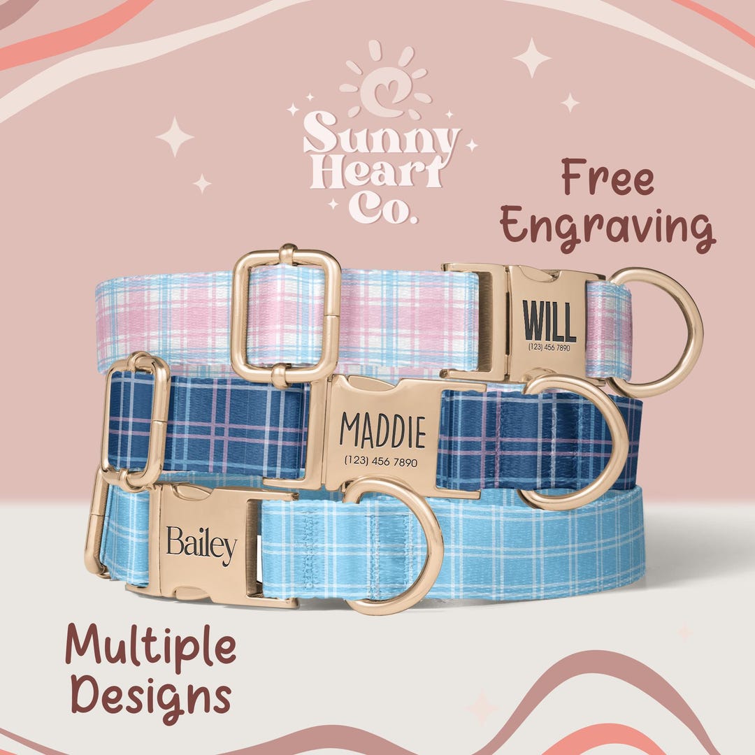 Personalized Dog Collar, Custom Pet Collar With Name Tag, Adjustable ...