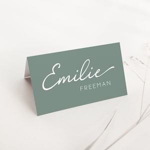 Sage Green Wedding Place Cards. Place Cards Template. Escort Cards. Wedding Name Cards. Name Place Cards. Downloadable Name Place Setting. image 1