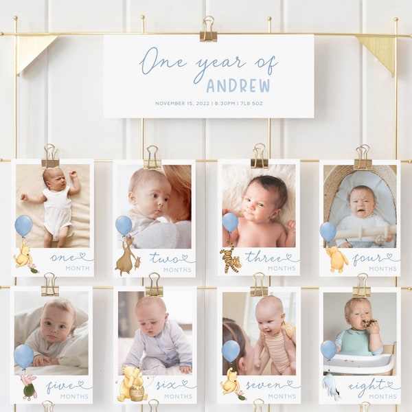 Winnie the Pooh Boy 1st Birthday Banner. Boys First Birthday Milestone Board. Classic Pooh Party. Custom 12 Monthly Baby Photo Collage. B4
