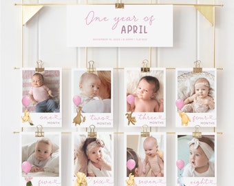 Winnie the Pooh 1st Birthday Banner. Girls First Birthday Photo Display Classic Pooh Party Custom 12 Monthly Baby Photo Collage Milestone B3
