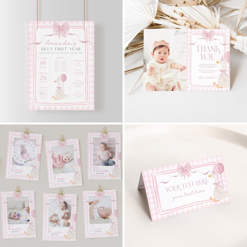 One Silly Goose Birthday Bundle Editable Pink Bow Goose Party Set Girls Coquette Gingham Decor Printable 1 Year Old Birthday Baby Package G7