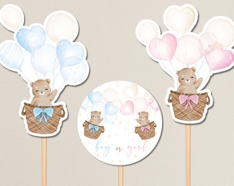 Teddy Bear Cutouts Gender Reveal Hot Air Balloon Cake Topper. Boy OR Girl Cupcake Topper. Cake Pops Blue & Pink. Brown Bear Popsicle. T5