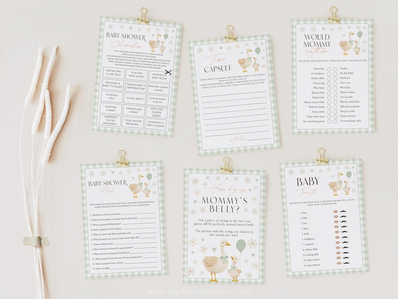 Gender Neutral Gingham Goose Baby Shower Bundle
