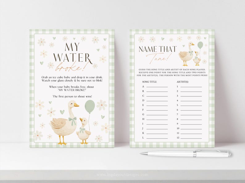 Sage Green Gender Neutral Gingham Goose Baby Shower Bundle