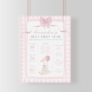 One Silly Goose Birthday Bundle Editable Pink Bow Goose Party Set Girls Coquette Gingham Decor Printable 1 Year Old Birthday Baby Package G7