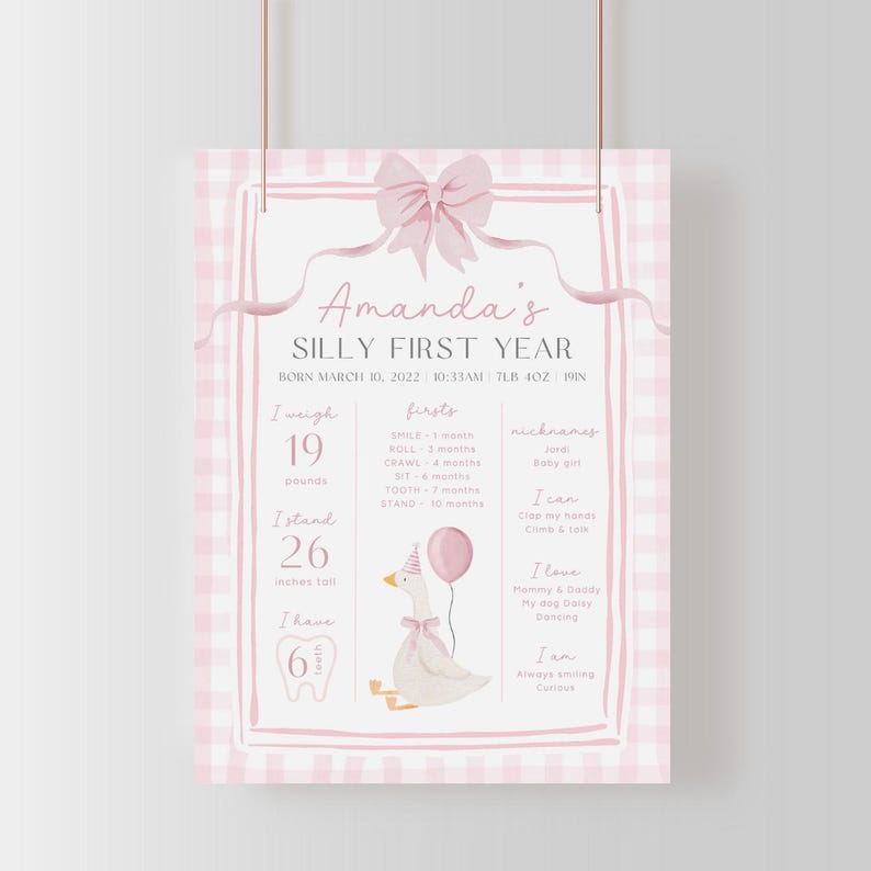 One Silly Goose Birthday Bundle Editable Pink Bow Goose Party Set Girls Coquette Gingham Decor Printable 1 Year Old Birthday Baby Package G7