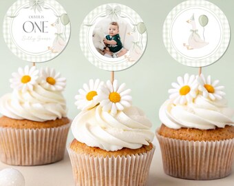One Silly Goose Cupcake Toppers. Editable Sage Green Coquette 1st Birthday Topper Vintage Gingham Cupcake Decor. Printable Canva Template G8