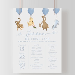 Winnie the Pooh Boy 1st Birthday Baby Milestone Board. Classic Pooh First Birthday Milestone Poster. My First Year Sign Party Theme Decor B4