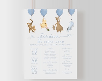 Winnie the Pooh Boy 1st Birthday Baby Milestone Board. Classic Pooh First Birthday Milestone Poster. My First Year Sign Party Theme Decor B4