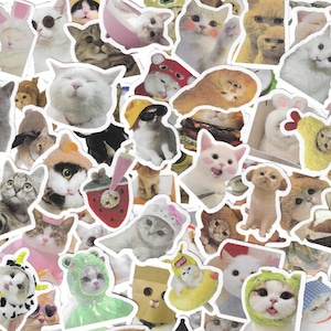 Kawaii Meme Cat Stickers | Funny Gift Waterproof Decals for Motorcycle, Laptop, Luggage, Water Bottle