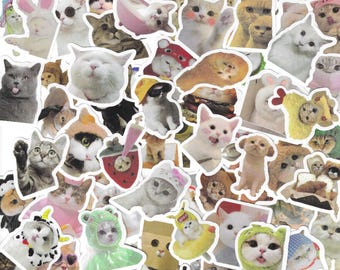 Kawaii Meme Cat Stickers | Funny Gift Waterproof Decals for Motorcycle, Laptop, Luggage, Water Bottle