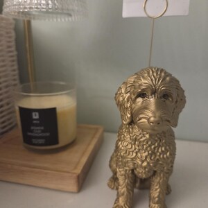 May include: A gold-colored dog figurine with a curly-haired texture, featuring a thin metal wire extending from the top of its head to hold a small rectangular photograph. The dog is in a seated position with its head facing forward.