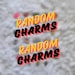 Random/assorted/mystery Charms - Etsy