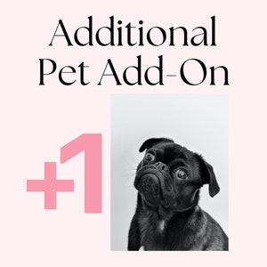 Additional Pet - Add on for Personalized Gifts