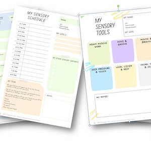 Sensory Diet, Sensory Schedule, Resources, Self Regulation, Child, Teen, Paeds, OT, Classroom, Home, Kids, Printable, Digital Download, pdf