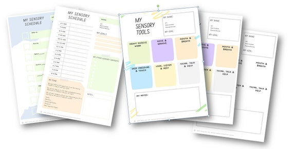 Sensory Diet, Sensory Schedule, Resources, Self Regulation, Child, Teen, Paeds, OT, Classroom, Home, Kids, Printable, Digital Download, pdf