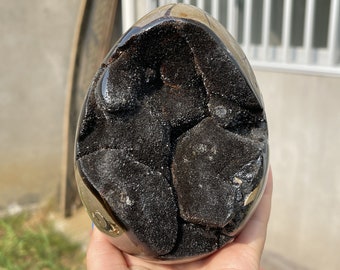 Natural dragon septarian geode quartz egg cluster crystal healing random 1pc Halloween gift