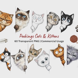 May include: A collection of digital illustrations featuring various cats and kittens peeking from behind vertical edges. The set includes a fish skeleton, a ball of yarn, and a small mouse, with the text Peekings Cats & Kittens 60 Transparent PNG | Commercial Usage.