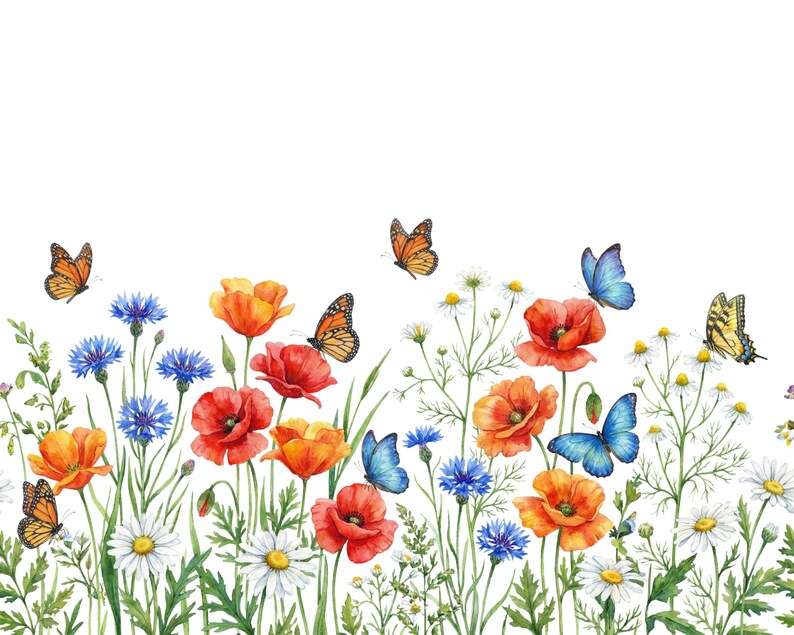 May include: Watercolor illustration of a vibrant wildflower meadow. The image features red poppies, orange and white daisies, blue cornflowers, and butterflies in shades of orange, yellow, and blue against a white background.
