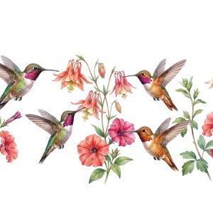 May include: Watercolor illustration of hummingbirds and flowers. The image features several hummingbirds with iridescent green, red, and orange plumage, hovering near vibrant pink, red, and orange flowers. The background is white.
