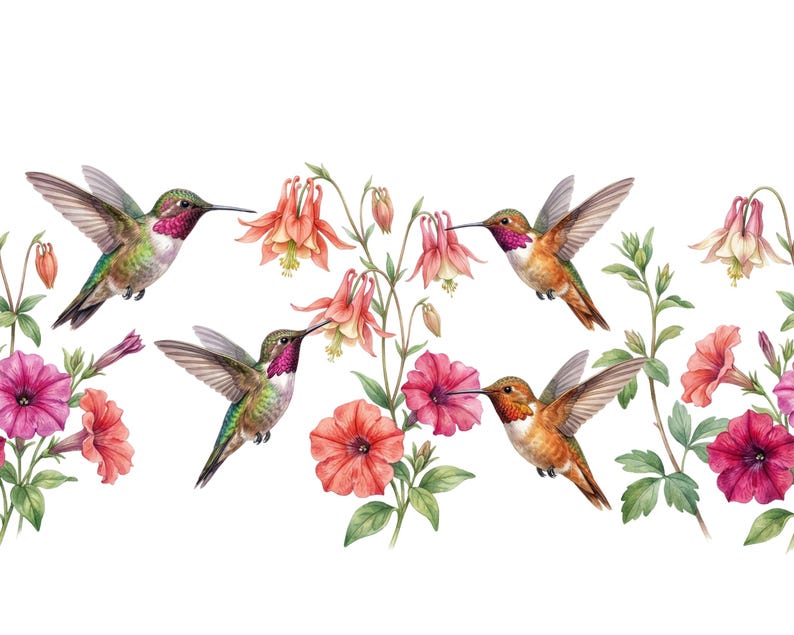 May include: Watercolor illustration of hummingbirds and flowers. The image features several hummingbirds with iridescent green, red, and orange plumage, hovering near vibrant pink, red, and orange flowers. The background is white.