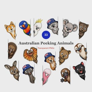 May include: A collection of 33 Australian Peeking Animals transparent PNGs featuring illustrations of a dingo, parrot, cockatoo, koala, wombat, echidna, frilled lizard, kangaroo, emu, platypus, and Tasmanian devil, some wearing Australian flag hats.