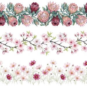 May include: Watercolor floral border designs featuring protea, cherry blossoms, and cosmos flowers. The protea flowers are pink and burgundy, the cherry blossoms are pink, and the cosmos flowers are pink, white, and burgundy.