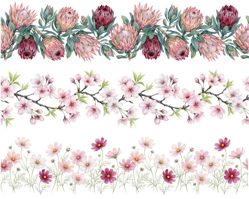 May include: Watercolor floral border designs featuring protea, cherry blossoms, and cosmos flowers. The protea flowers are pink and burgundy, the cherry blossoms are pink, and the cosmos flowers are pink, white, and burgundy.