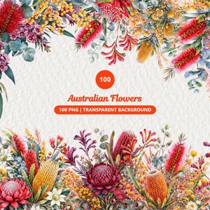 May include: A digital collection of 100 Australian flowers featuring watercolour illustrations of red proteas, yellow banksias, and eucalyptus leaves. The text reads 100 Australian Flowers 100 PNG | TRANSPARENT BACKGROUND in a central orange circle.