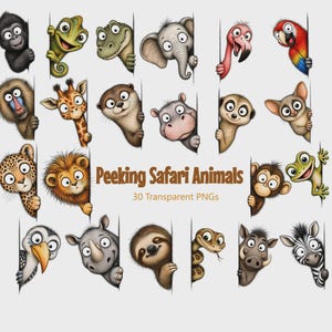May include: A collection of 30 digital illustrations featuring various cartoon safari animals peeking from behind a vertical edge. The set includes a monkey, chameleon, crocodile, elephant, flamingo, parrot, giraffe, otter, hippo, meerkat, leopard, lion, sloth, snake, rhino, and zebra. Text reads: Peeking Safari Animals 30 Transparent PNGs.
