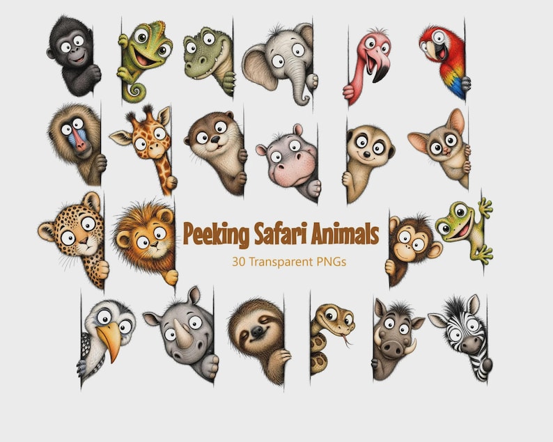 May include: A collection of 30 digital illustrations featuring various cartoon safari animals peeking from behind a vertical edge. The set includes a monkey, chameleon, crocodile, elephant, flamingo, parrot, giraffe, otter, hippo, meerkat, leopard, lion, sloth, snake, rhino, and zebra. Text reads: Peeking Safari Animals 30 Transparent PNGs.