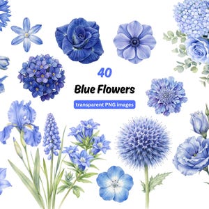 Op de afbeelding: Een verzameling van 40 aquarel illustraties van blauwe bloemen, waaronder rozen, irissen en hortensia's. De afbeelding toont een verscheidenheid aan bloemstukken en individuele bloemen, met de tekst "40 Blue Flowers" en "transparent PNG images".