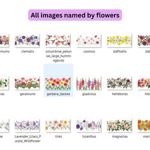 May include: A collection of floral images, each labeled with a flower name. The images include chrysanthemums, clematis, columbine, cosmos, daffodils, dahlias, gardenias, geraniums, gerbera daisies, gladiolus, hellebores, hibiscus, jasmine, lavender, lilies, lisianthus, magnolias, and marigolds.