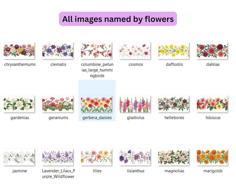 May include: A collection of floral images, each labeled with a flower name. The images include chrysanthemums, clematis, columbine, cosmos, daffodils, dahlias, gardenias, geraniums, gerbera daisies, gladiolus, hellebores, hibiscus, jasmine, lavender, lilies, lisianthus, magnolias, and marigolds.