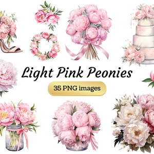 Rosa Pfingstrosen Clipart transparente Png - 35 Designs - Sofortiger digitaler Download