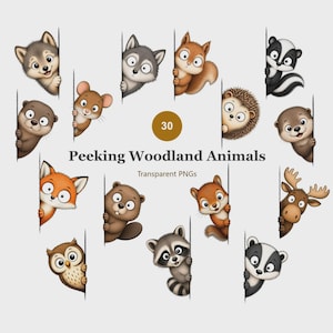 May include: A collection of 30 digital illustrations featuring various woodland animals peeking from behind vertical edges. The set includes a wolf, squirrel, skunk, hedgehog, otter, mouse, fox, beaver, owl, raccoon, badger, and moose. Text reads 30 Peeking Woodland Animals Transparent PNGs.