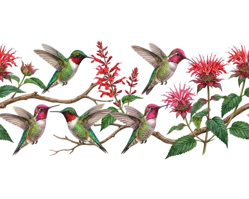 May include: A watercolor illustration of hummingbirds and red flowers against a white background. The birds have iridescent green bodies, red throats, and pink heads. They are perched on branches and near the red flowers.